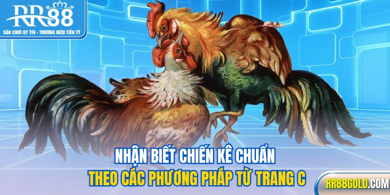 Nhận biết chiến kê chuẩn theo các phương pháp từ trang c